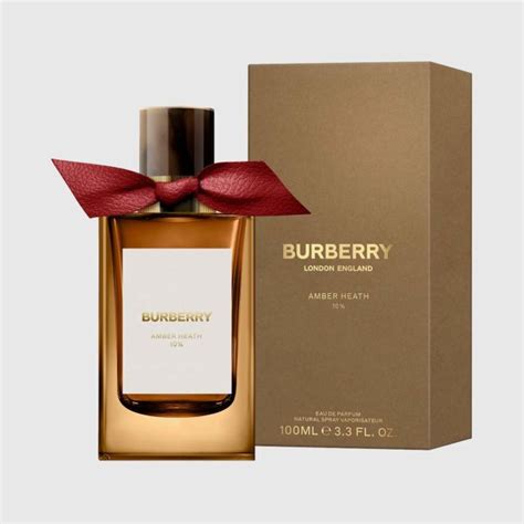 burberry amber heath 10|amber heath Burberry signatures.